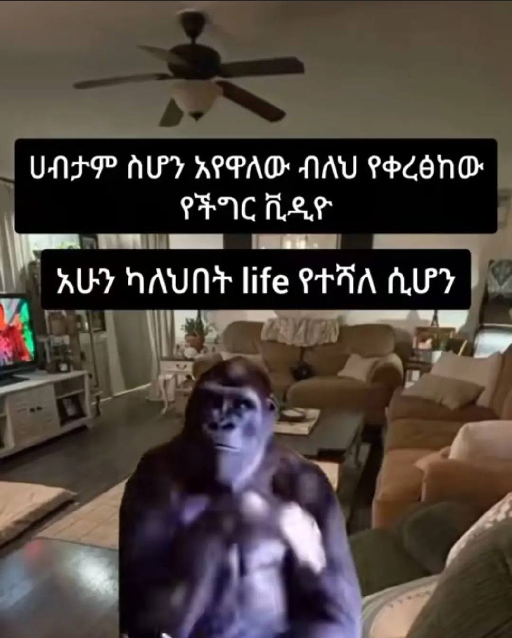a gorilla is standing in the living room